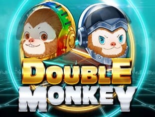 Double Monkey game icon